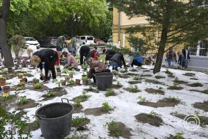 A Dél-pesti Centrumkórház Onkológiai Rehabilitációs Osztályának kertje, Budapest
